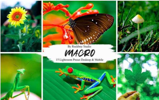 [Rockboy Studio] 15 Macro Lightroom Presets (2021)_0.png
